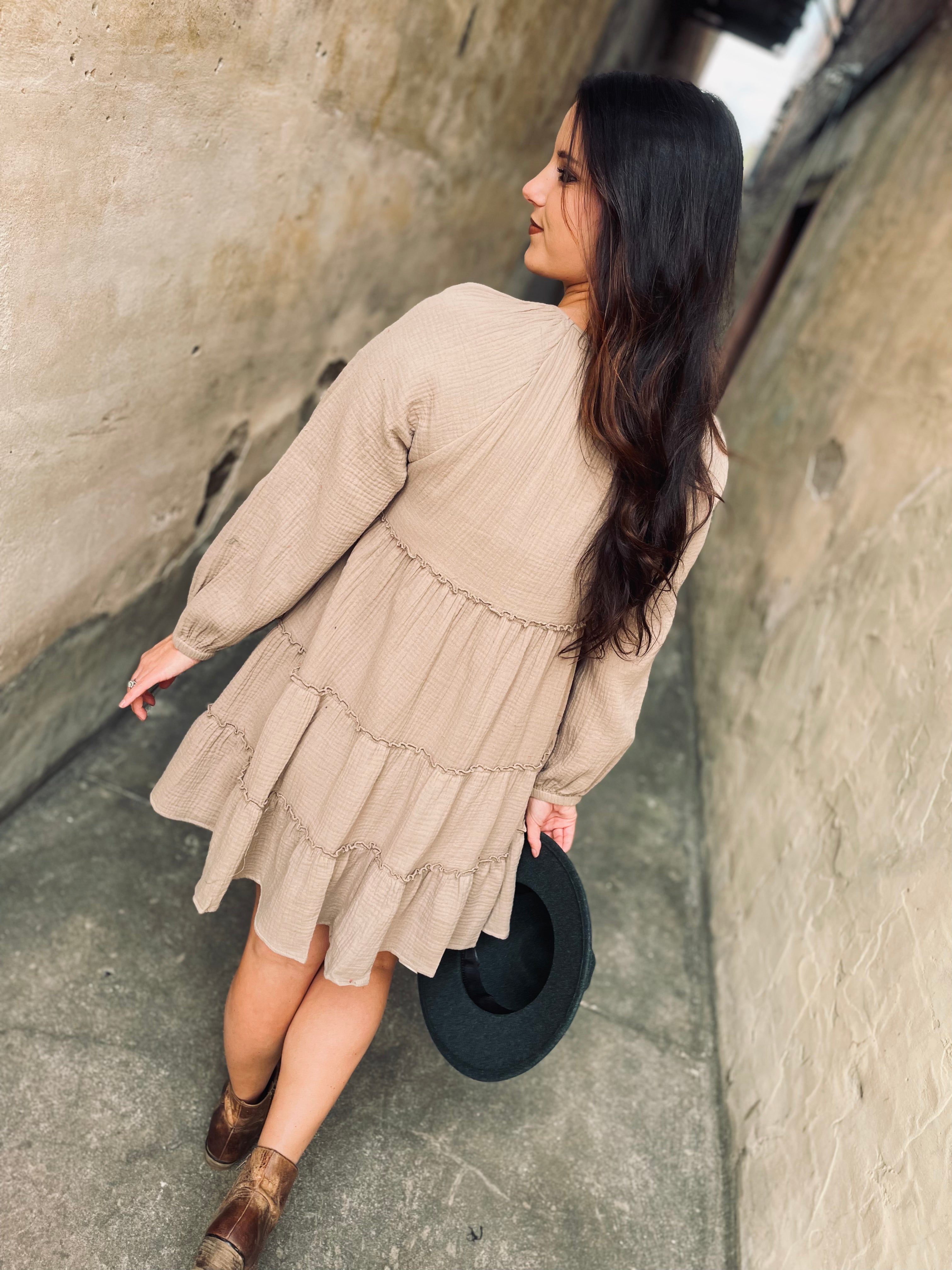 Let Your Light Shine Taupe Dresss