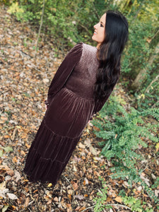 A Point In Time Truffle Velvet Dress